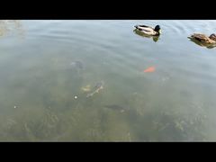 -北京植物园南门售票处