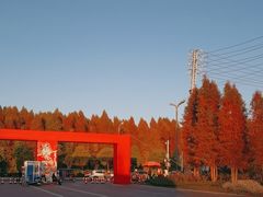 -呈贡滇池生态湿地公园