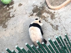 -沈阳森林动物园