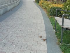 -迎泽公园