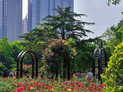 -天津五大道文化旅游区