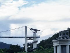 -河源客天下-温泉小镇