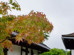 景点-京都御所