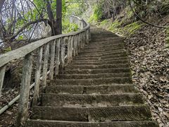 -龙泉洞(沙坪坝区)
