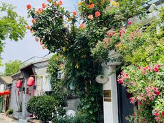 -点绛唇(鼓楼店)