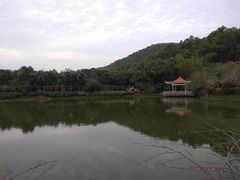 -大屏嶂森林公园
