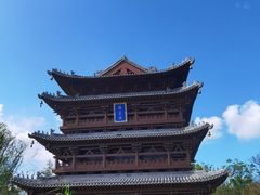 -东平国家森林公园