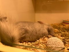 -龙猫仔乐园(惠福东路店)