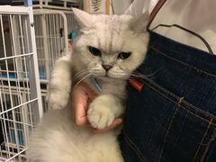 -小时光咖啡馆(北锣鼓巷店)