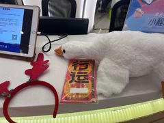 -金光华广场