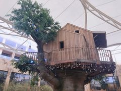 -杭州开元森泊度假乐园