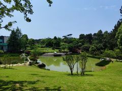 -铁山坪森林公园