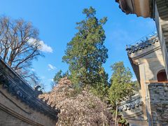 -潭柘寺景区