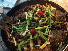 -老板恋上鱼(恒隆广场店)