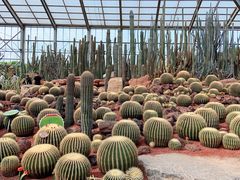 -南通洲际绿博园