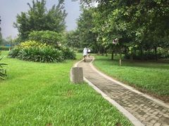 -鹤之洲湿地公园