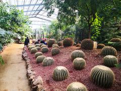 -呀路古热带植物园
