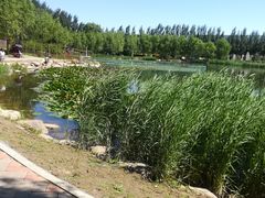 -吉林大学(前卫南区)