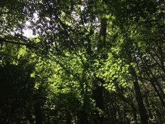 -崂山巨峰游览区