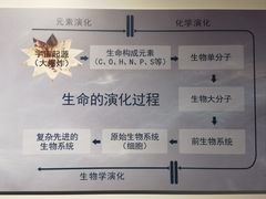 -安徽省地质博物馆