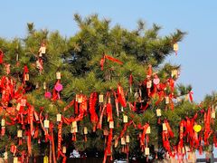 -沂蒙山旅游区龟蒙景区