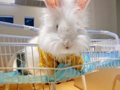 -怪兽屋·羊驼·猫咖·狗咖(俊华广场店)