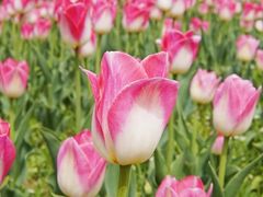 -长春公园(普阳街道)