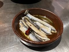 -Apollo·西班牙小酒馆(安福路店)