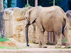 -杭州野生动物世界