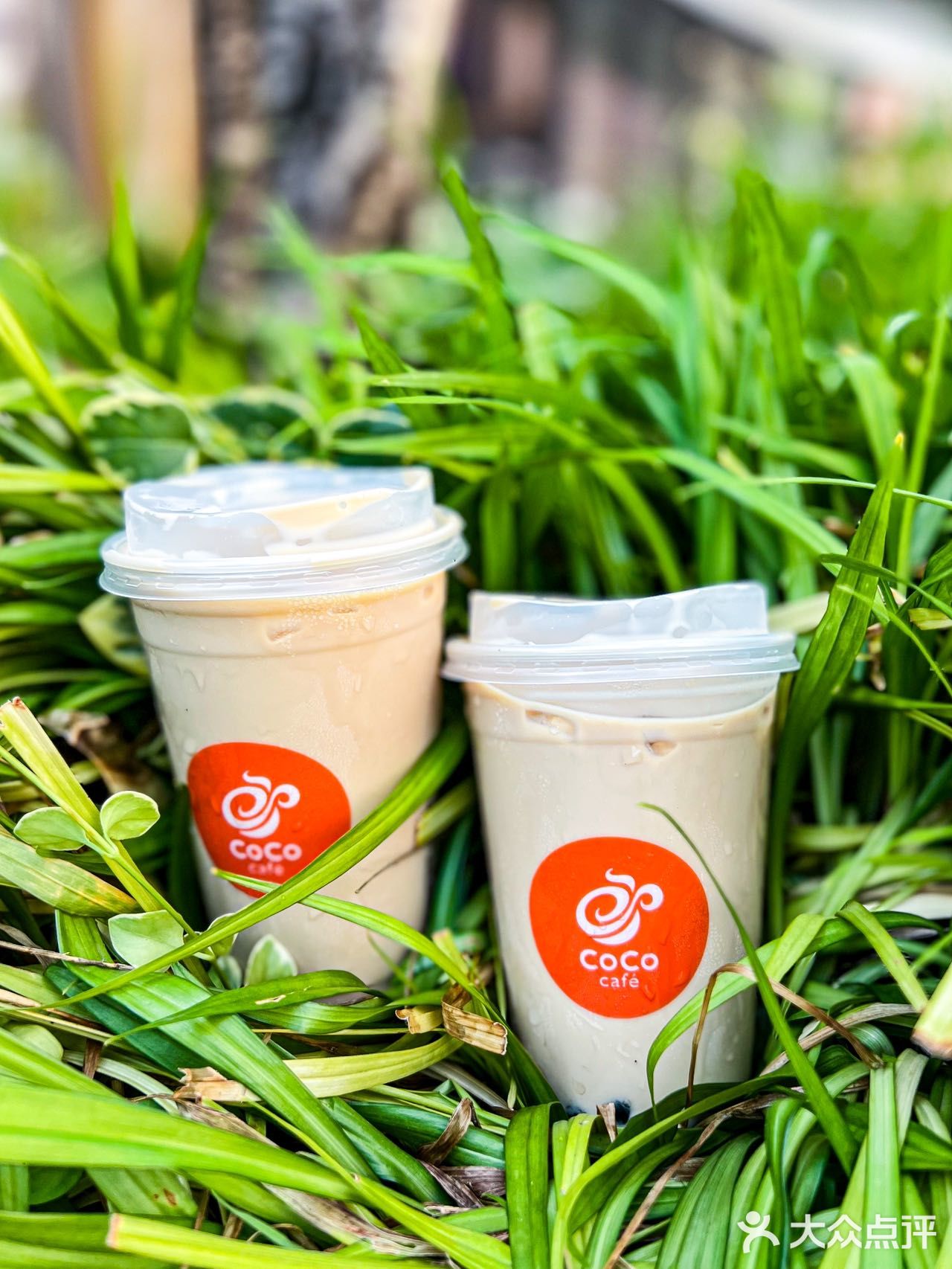 与夏日最般配的还是生椰拿铁系列啊