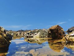 -养马岛旅游度假区