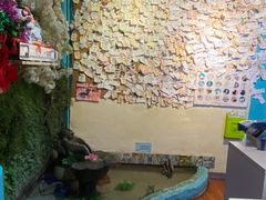 -猫小院猫主题咖啡厅(北锣店)