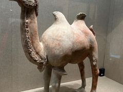 -敦煌市博物馆