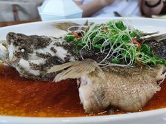 清蒸笋壳鱼-荷风细雨·中国茶宴(碧云店)