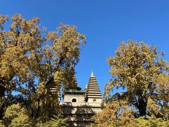 -北京石刻艺术博物馆(五塔寺)