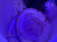 -变形金刚3D对决之终极战斗