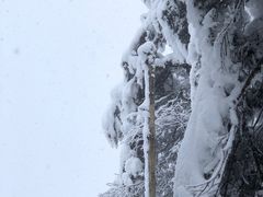 -瓦屋山景区
