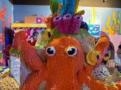 -上海乐高探索中心