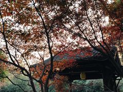 -三嚥阁 La Villa Restaurant