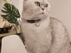 -Oasis绿洲银饰珍珠手作diy(壹方城店)