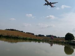-空港花田景区