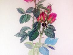 -信马画室 成人零基础到个人创作画室(亚运村店)