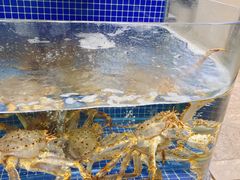 水产区-骏莱海鲜鱼港(五角场店)
