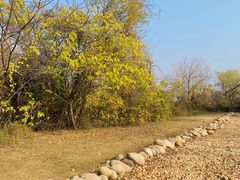 -盘龙城国家考古遗址公园