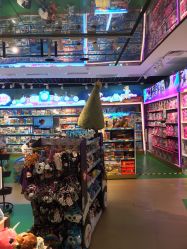 点击看大图 -Hamleys哈姆雷斯(东方福来德店)