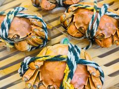 清蒸阳澄湖大闸蟹-万龙洲海鲜(南新仓店)