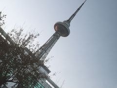 -龙塔