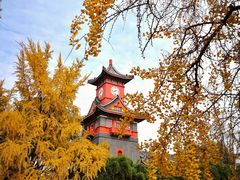 -四川大学(华西校区)