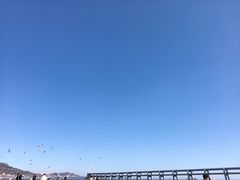 -黑石礁公园
