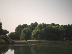 -达活泉公园